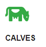 calves.png